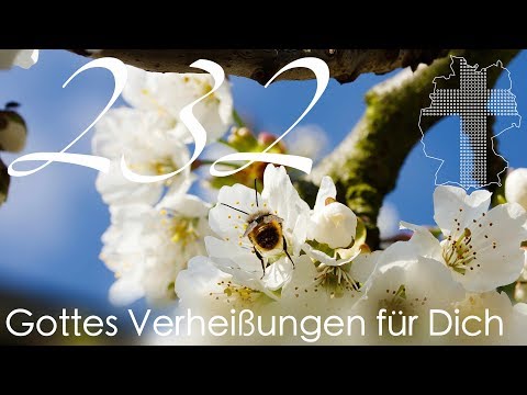 Gottes Verheißungen für Dich - Offenbarung 21,4 | Videokalender 232/365 - Deutschland braucht JESUS