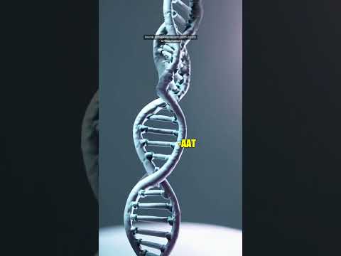 Imagine this: a revolutionary therapy called BEAM-302 that could potentially cure alpha-one antitryp