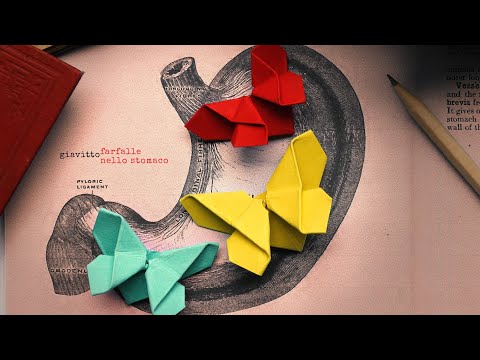 Giavitto | Farfalle nello stomaco