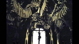 DM Upon The Salty Wall Of The Broody Gargoyle