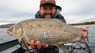 Giant Whitefish Caught & Smoked — The Honest Taste Test