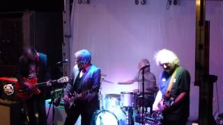 Peter Buck (& Band) - Monkey Mask - Todos Santos Music Festival, Todos Santos, Mexico