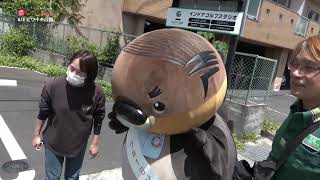 2024/6/26放送・知ったかぶりカイツブリにゅーす