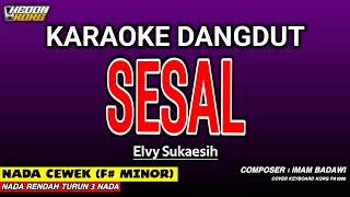 Download lagu SESAL KARAOKE DANGDUT - ELVY SUKAESIH mp3