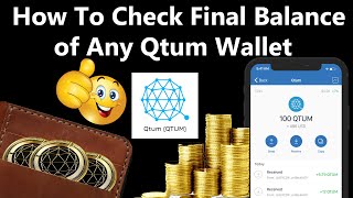 How To Check Final Balance of Any Qtum Wallet | Qtum Wallet Tutorial