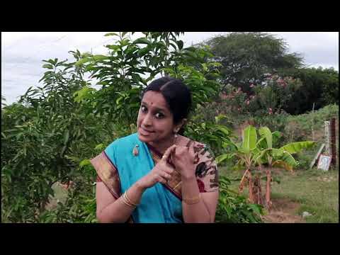 Vijayashri Knowledge series - EPISODE 7-"How do we stop over thinking?"-Smt.Vishakha Hari