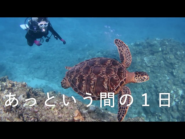 オーシャンビーチちゃたん