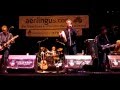 The Elders performing "LuckotheIrish" at Milwaukee Irish Fest, 2011