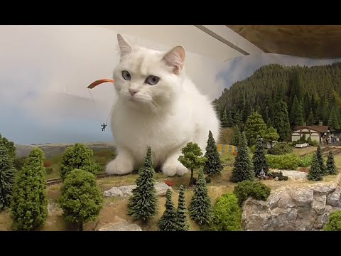 Bernsteinfarbene flackerfreie Waggonbeleuchtung