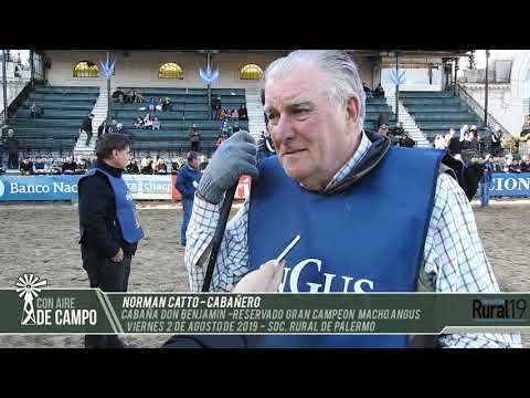 Norman Catto - Cab. Don Benjamín - Reservado Gran Campeón Macho Angus - Palermo 2019