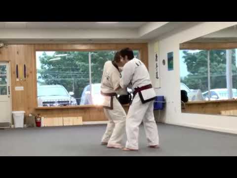 Naihanchi Bunkai - Interpretations For Naihanchi Opening Movements