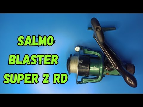 3000 RD 268 грамм