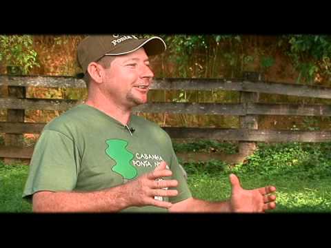 Anunciamos Jesus - Bom Pastor