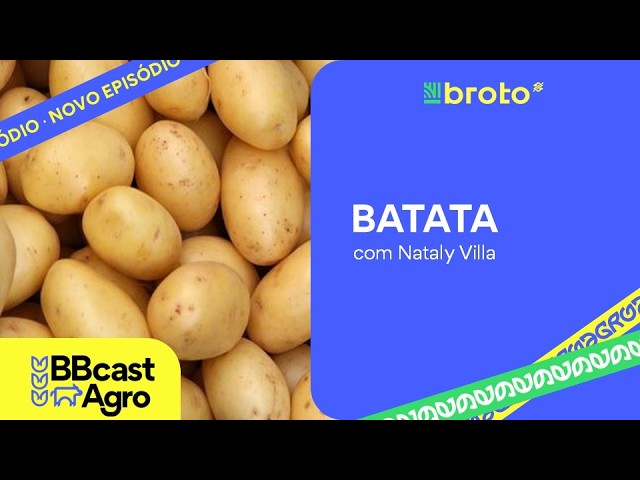 Batata: colheita em ritmo firme e custos exigem planejamento financeiro | BBcast Agro - 29/07/2026