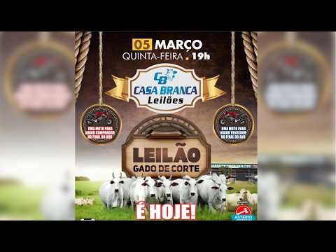 LEILÃO DE GADO DE CORTE CASA BRANCA LEILÕES -  CAMPINORTE - GO 05 /03/ 2026