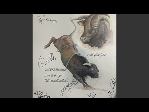 Little Yellow Jacket