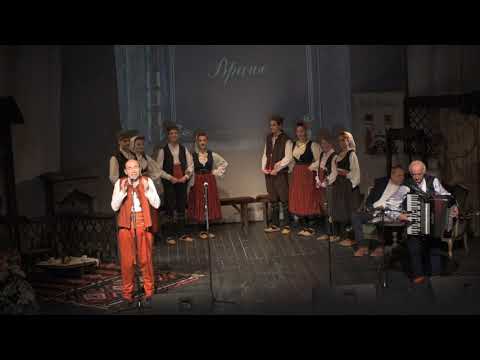 Branimir Stošić Kace - Crno grojze, drenovica (Festival Vranjska gradska pesma).