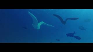 Benoît Menut: L&rsquo;Oiseau Didariel – Les Îles