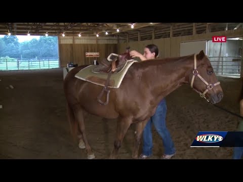 Campers learn to saddle a horse at Hunters Brook Farm