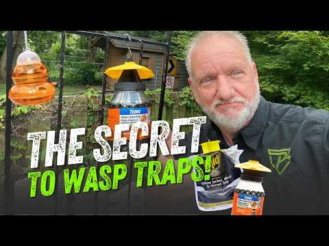 How Wasp Traps Work