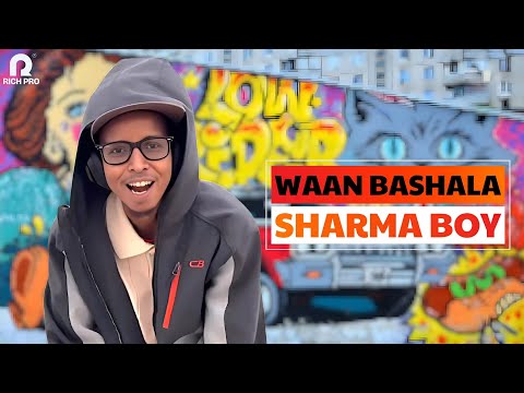SHARMA BOY 2025 | WAAN BAASHAALA | NEW SONG
