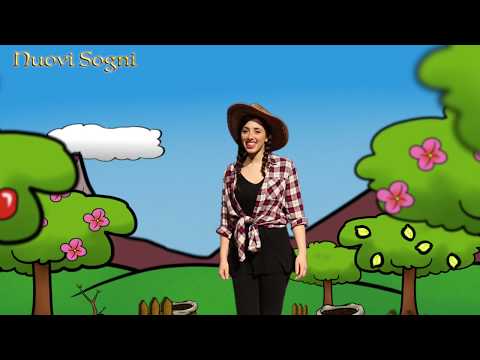 Il giardino della vita - Canzoni di Nuovi Sogni