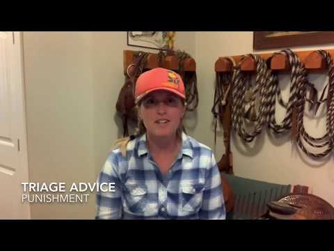 Punishment for Horse Behaviour Problems