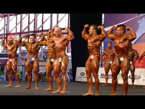 1st Group Compulsory - Prejudging - Under 85kg - Arnold Amateur Europe 2014