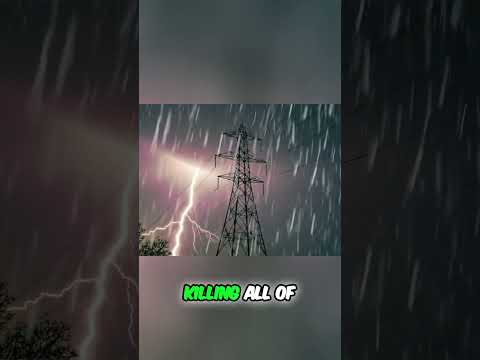 Cogitare - Poison The Tide #band #music