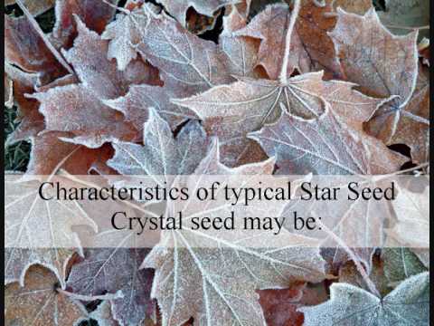 Crystal Children - Star Seeds