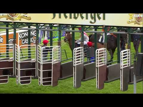 Galopprennbahn Dresden - 13.07.2019 - 2.Rennen