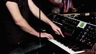 Little Dragon | Little Man | Moog Sound Lab
