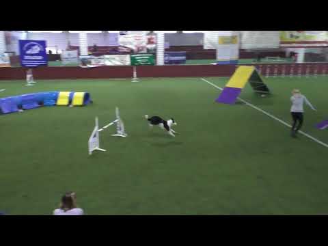 Cinna A1 1st place 2017.12.02.