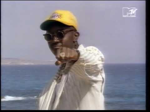 Zodiac Youth ‎– Fast Forward The Future (1991 MTV Party Zone music video)