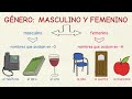 Aprender español: El género - masculino y femenino (nivel básico)