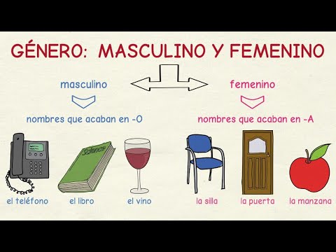 Learning Spanish: Gender - masculine and feminine (basic level)