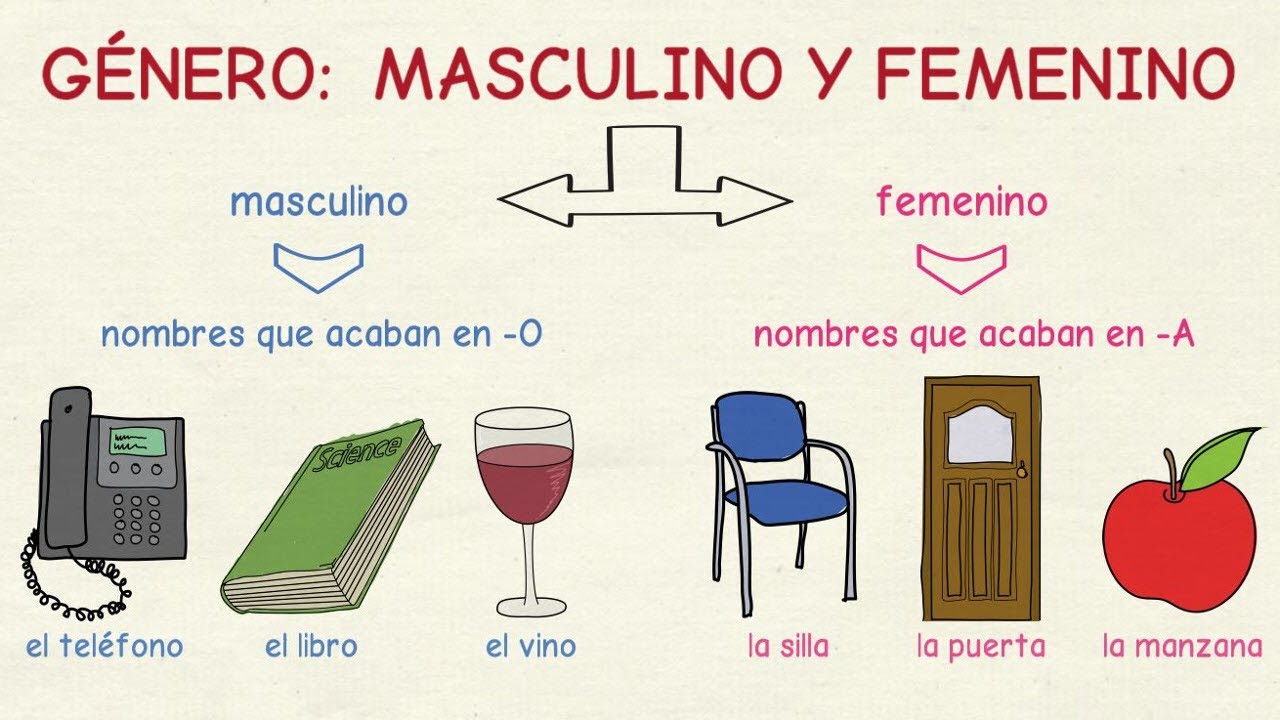 Aprender español: El género - masculino y femenino (nivel básico)