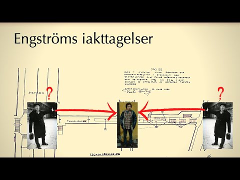 Palmemordet: Argumentet som fäller Palme-åklagare Krister Peterssons teori