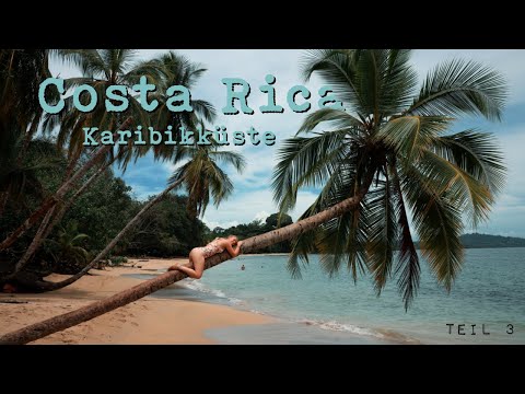 COSTA RICA - Karibikküste | Cahuita Nationalpark & Traumstrände | Panamericana Vlog Teil 10