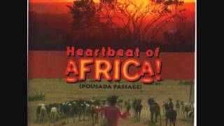 Heartbeat of Africa Solo Cissokho - 'Toub' Senegal Kora Master