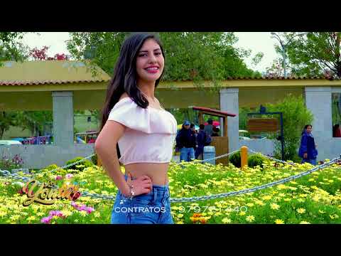 Los Yonar de Jaén -Camas Separadas- (Vídeo Clip - Oficial )► 4K 📱 :979721440