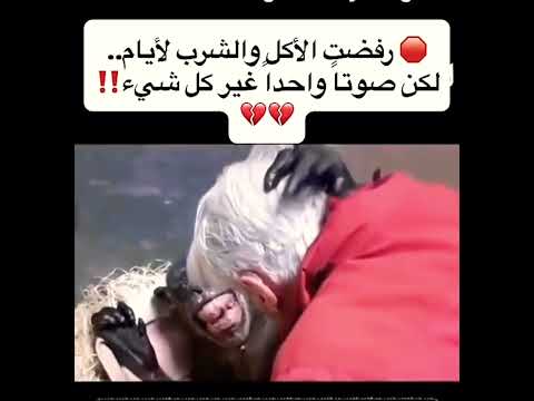 💔رفضة الأكل والشرب 🥺💔 #أمريكا_اليوم 🇺🇸📍 #اكسبلور