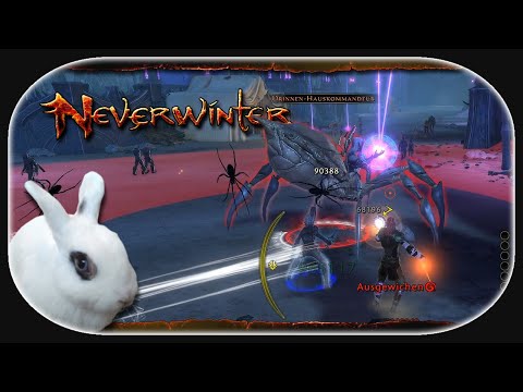 NEVERWINTER: Mod 25 🐇 02 - Verlosung für PS4 und das Braeryn-Viertel