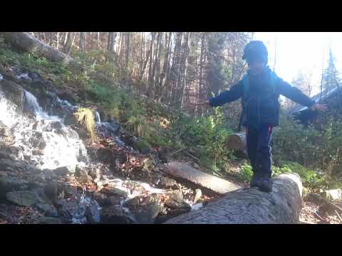 Dostaňte děti na hory za nejčistším vzduchem Jeseníků