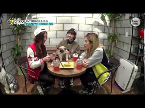 [ENGSUB] 150407 SONAMOO PET HOUSE - EP 6