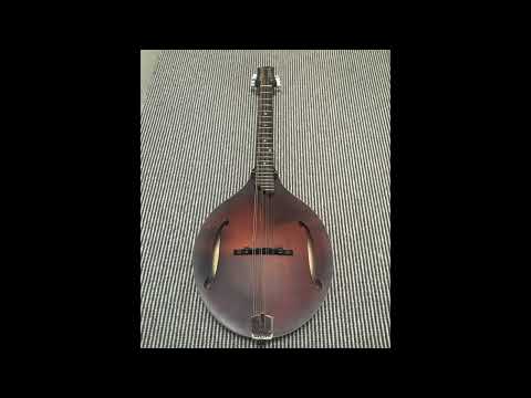 The Lilies Of The Field - a reel in D Major to introduce my Eastman MDO305 octave mandolin