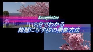 preview picture of video '2分でわかる 綺麗に写す桜の撮影方法！kazuphotos'