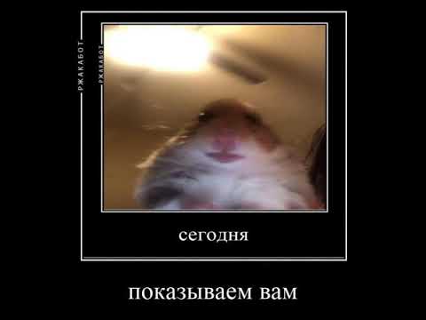 Вы на канале фрайз