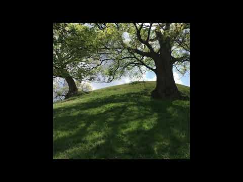 [FREE] h jeunecrack + abel31 type beat - "les fleurs du mal" (p. @6min1)