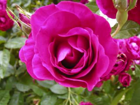 Lass dir erzählen...(Teil5/1)